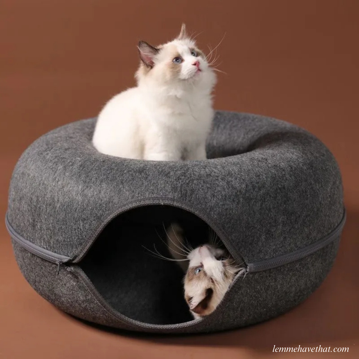 THE CATDONUT™️