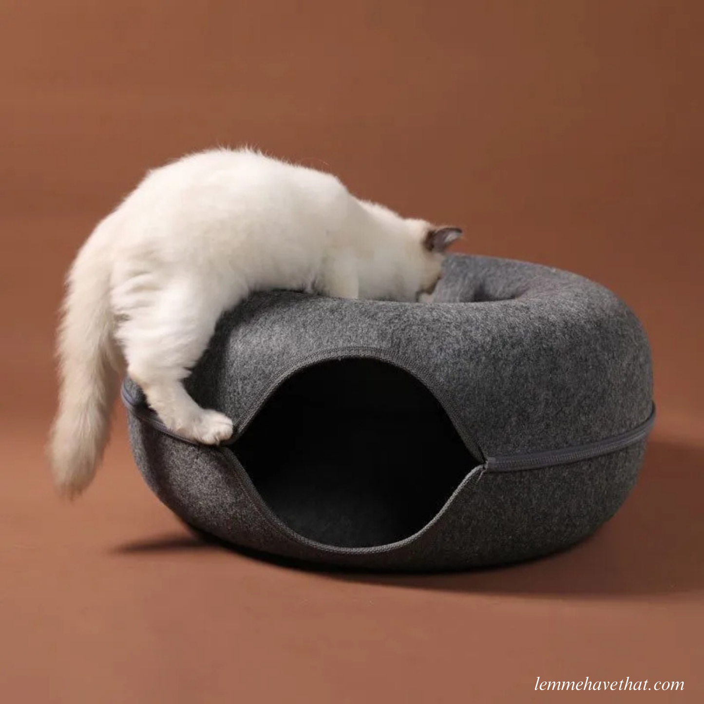 THE CATDONUT™️