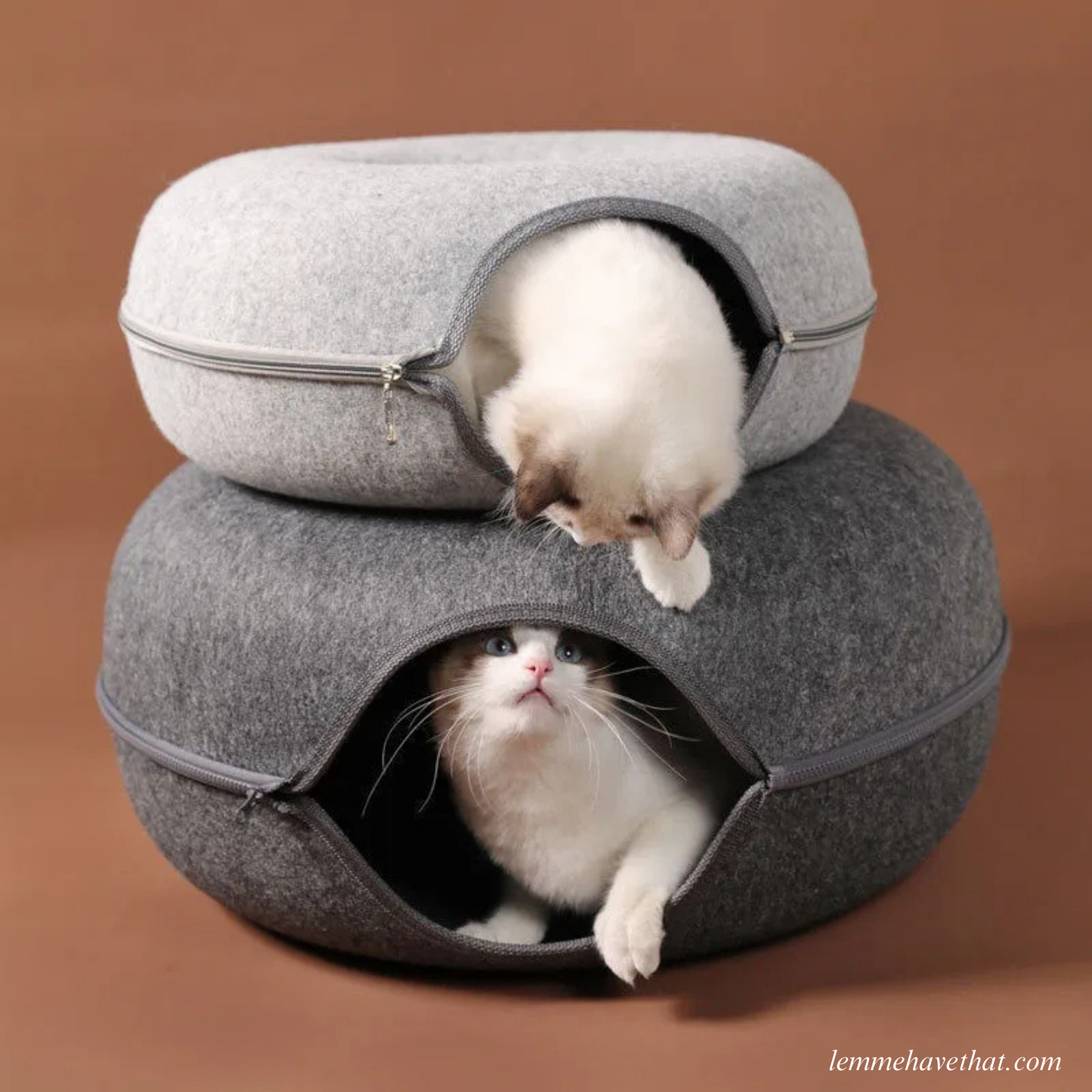 THE CATDONUT™️