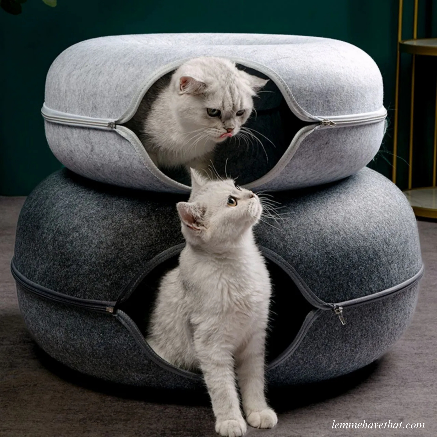 THE CATDONUT™️
