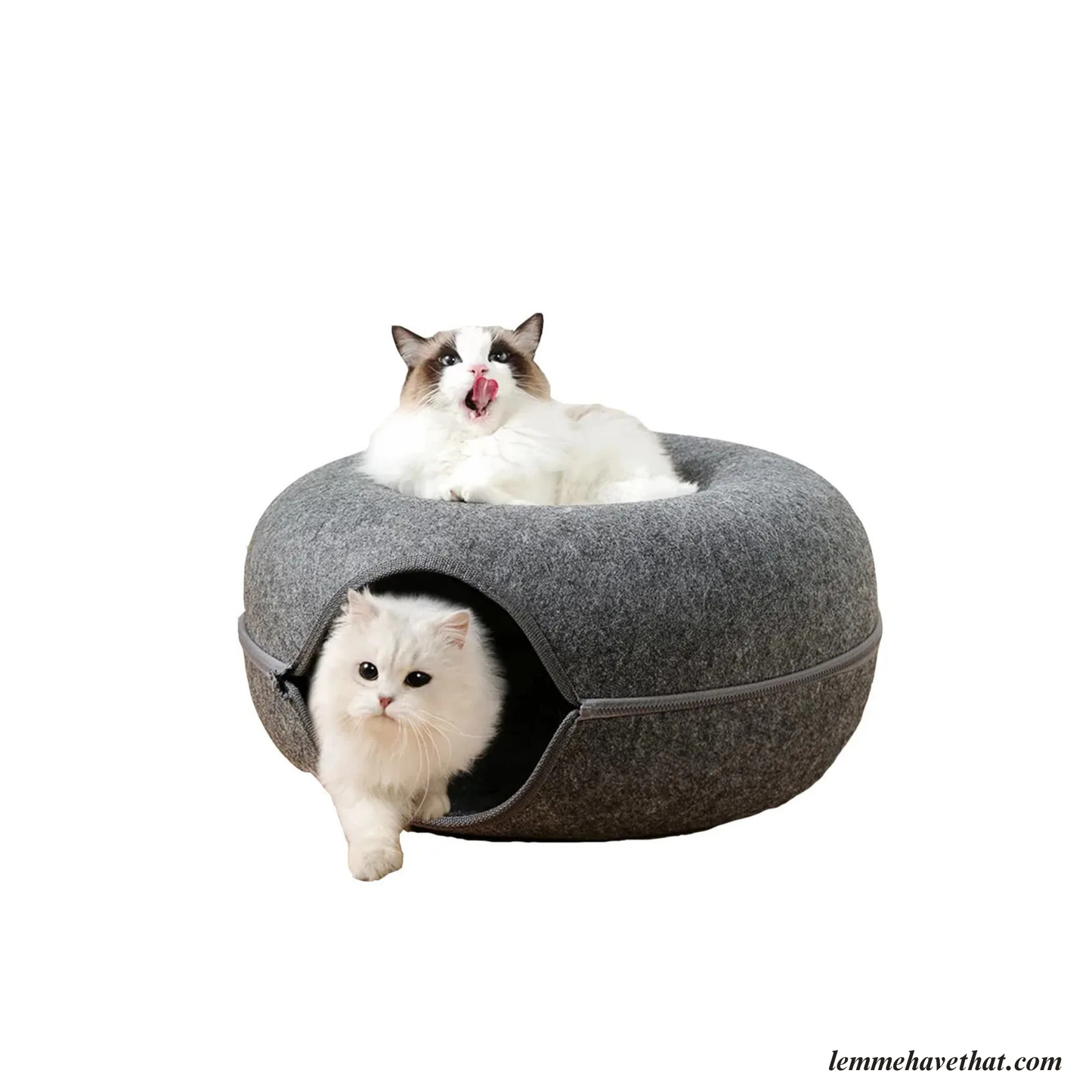 THE CATDONUT™️