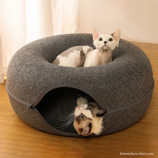 THE CATDONUT™️