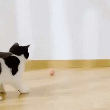 Rollie Ball - Interactive Cat Toy